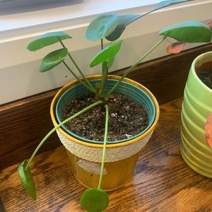 Meet your Posher, Valerie